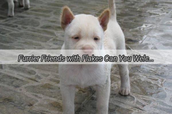 Furrier Friends with Flakes Can You Welcome a Puppy with Psoriasis into Your Home